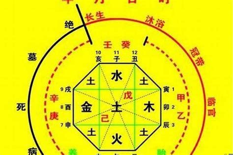 五行喜什麼|八字喜用神查詢